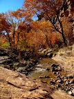 Lower Range Creek