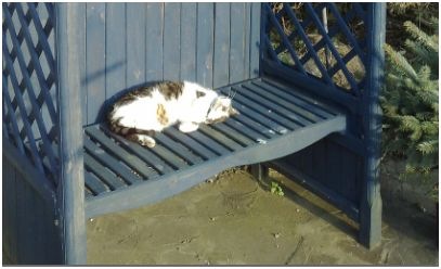 [limbering up for summer[3].jpg]
