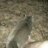 More of Jones and his weirdly shaped body.  Also, another excellent shot of Ken's legs.
