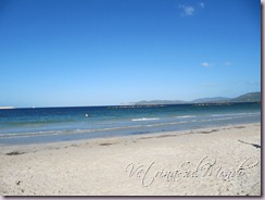 IMG_1405 IMG_1405