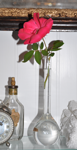 [beaker1[20].png]