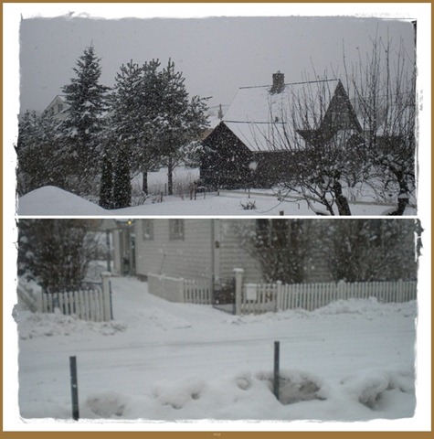 [snø-vert[3].jpg]