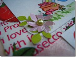IMG_6762 IMG_6762