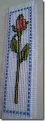 IMG_6917 IMG_6917
