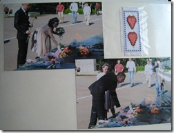 IMG_6918 IMG_6918