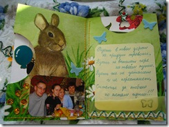 IMG_7027 IMG_7027