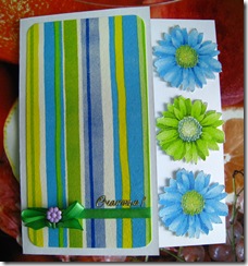 IMG_7923 IMG_7923