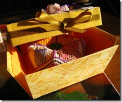 IMG_7863 IMG_7863