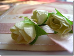 IMG_8217 IMG_8217