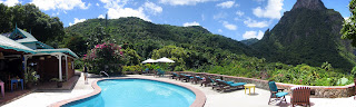 The mango tree also offered a pool for the residents, but since everyone had their own private pool, it was never used.