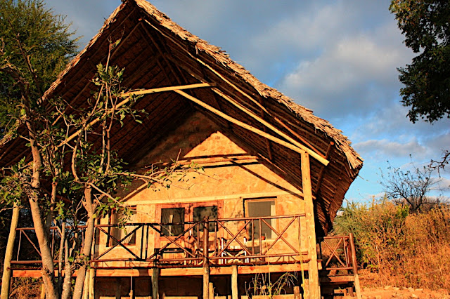 Ruaha River Lodge 5