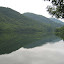 IMG_1004-1000.jpg