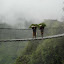 Nepal 677-1000.jpg
