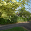 Debden & Wimbish 025.jpg