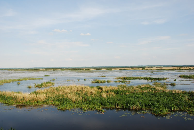 jezioro