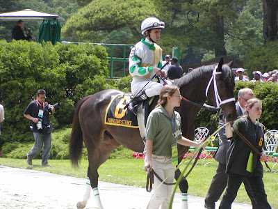 Fabulous Strike before his win in the True North, June 6, 2009