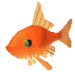 Blog de ardeche : Destination Ard�che !, Tha�lande (20) Poissons rouges
