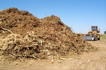 biomass