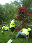 How many youth does it take to plant a tree?