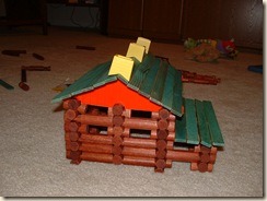 20100108_LogCabin02