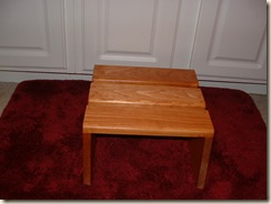 20100130_BathroomStool