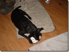 20100130_VisitingPony07