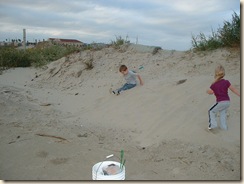 20091119_StewartBeach01