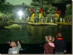 20091120_Aquarium13