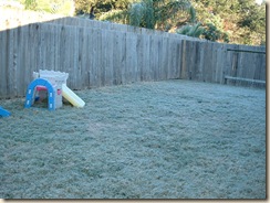 20091205_Sledding01