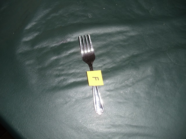 [20100809_F_Fork2.jpg]
