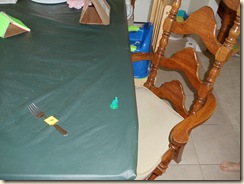 20100809_F_ForkFrog