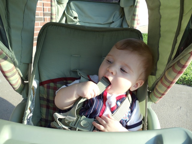 [20100813_BrianMouthing[2].jpg]