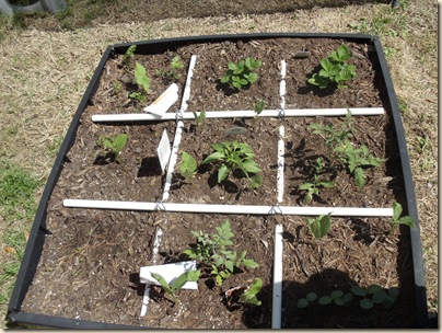 20110311_Garden04