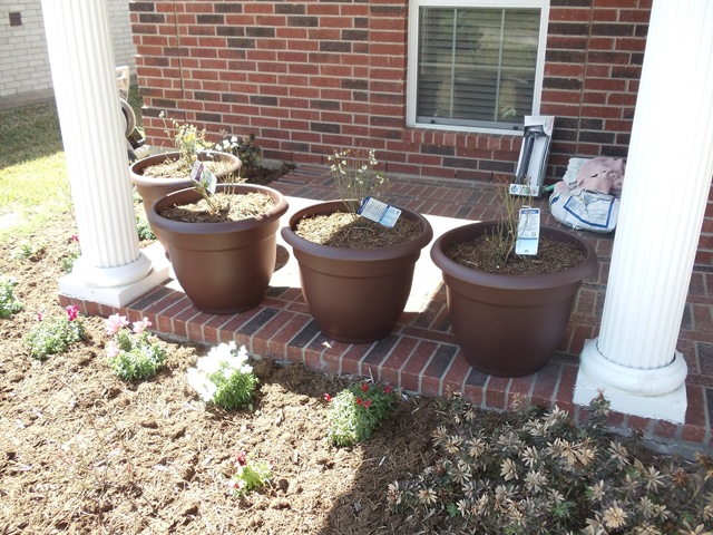 [20110311_Blueberry023.jpg]