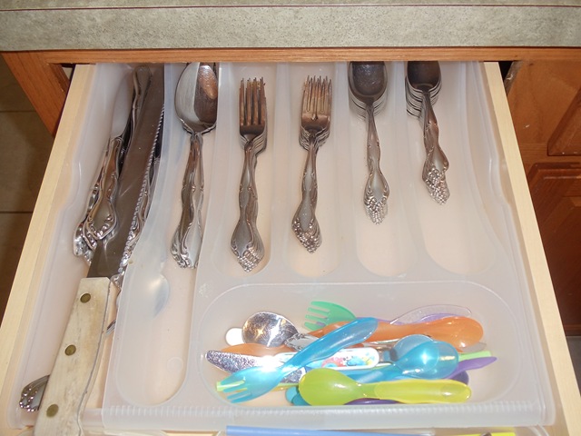 [20110317_TravisPutsAwaySilverware3.jpg]