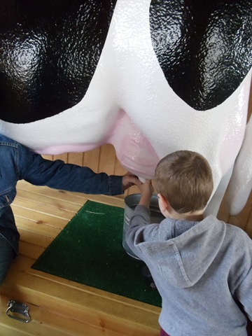 [20110309_LivestockShow224.jpg]