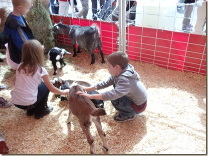 20110309_LivestockShow50