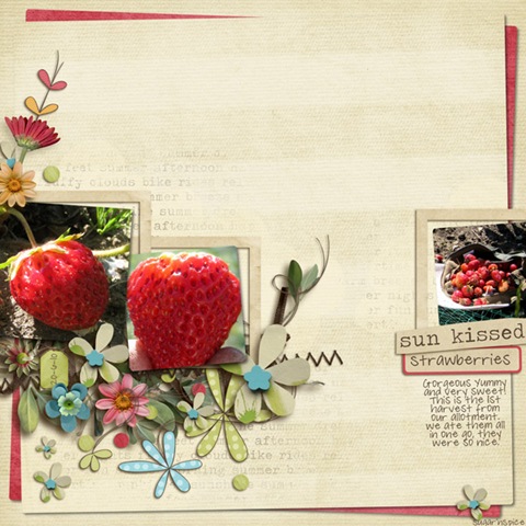 [493 SnS-Strawberries[3].jpg]