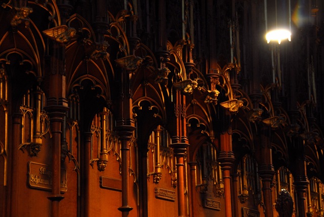 [DSC_02910161[2].jpg]