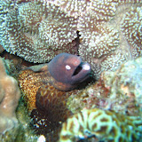 IMG_7842.JPG
