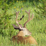 100_6776.JPG
