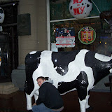 100_7377.JPG