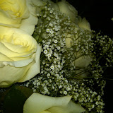 IMG00279-20091010-2104.jpg