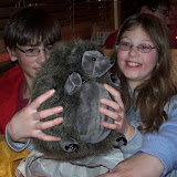 100_8864.JPG