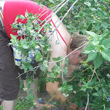100_9660.JPG