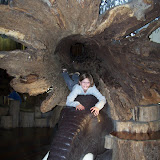 100_9828.JPG