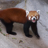 100_9765.JPG