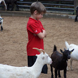 100_9880.JPG