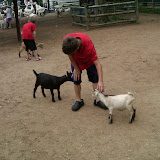Grant'sFarmGoats03.JPG