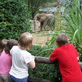 100_9900.JPG